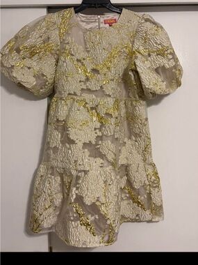 THML Cream Dress with Gold Metallic Floral Puff Sleeves